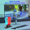 21 in 1 Switch Sports Accessories Bundle